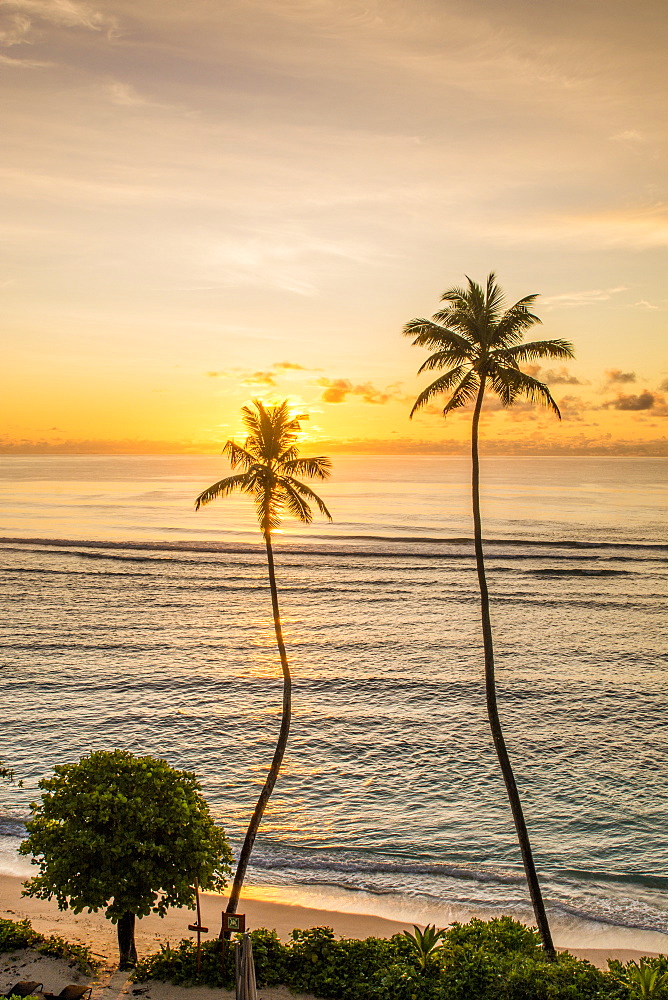 Anse Forbons beach, Mahe, Republic of Seychelles, Indian Ocean, Africa