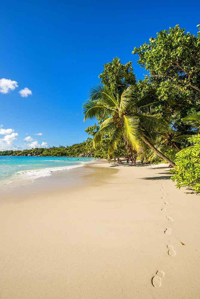 Anse Lazio Beach, Praslin, Republic of Seychelles, Indian Ocean, Africa