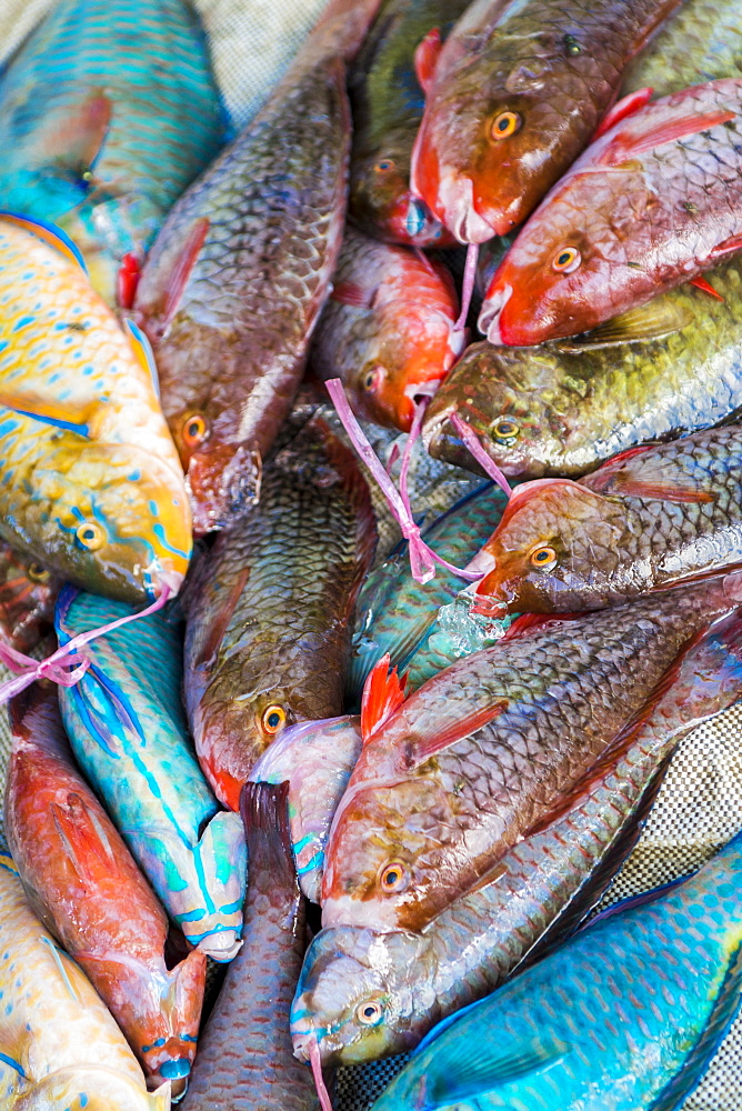 Local fish market, Praslin, Republic of Seychelles, Indian Ocean, Africa