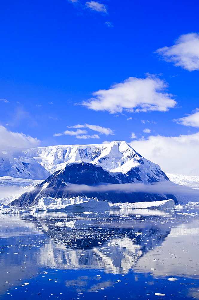 Neko Cove (Harboor), Antarctica, Polar Regions