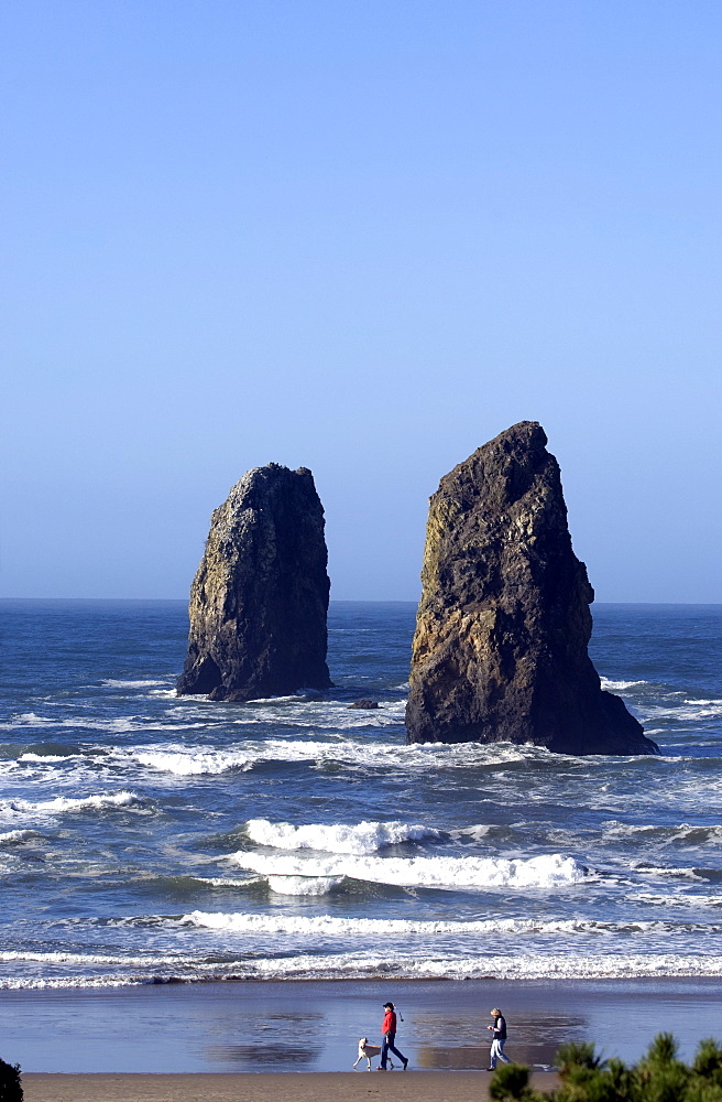 Haystack Rock, Cannon Beach, Oregon, United States of America, North America