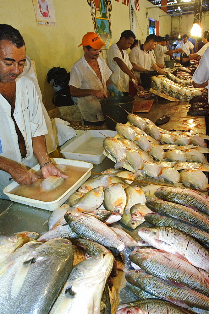 Fish vendors, Mercado Adolfo Lisboa, Manaus, Amazonas, Brazil, South America