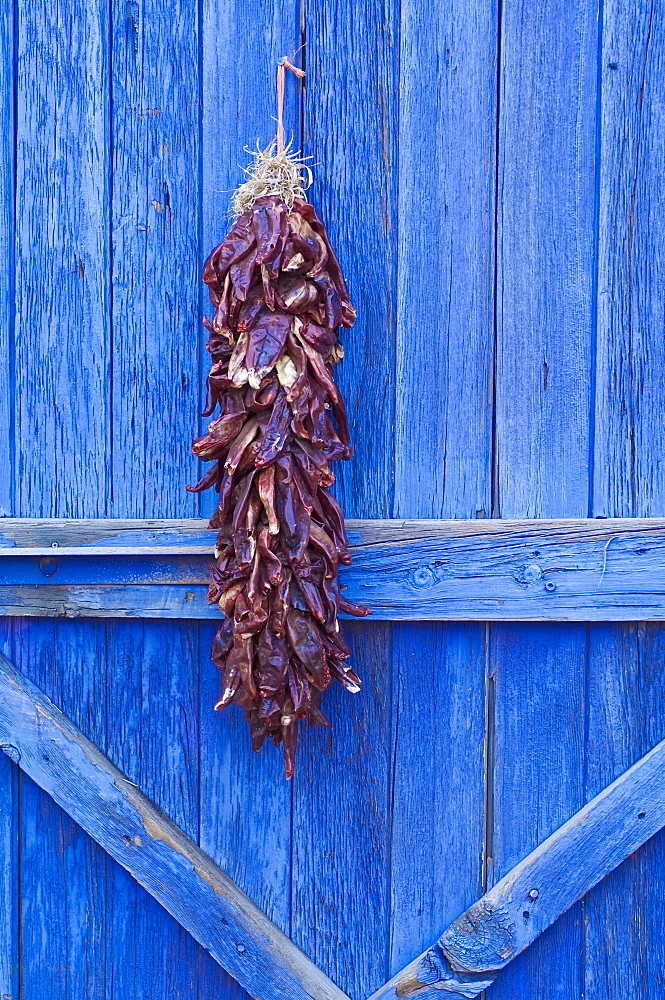 Red chilli peppers on barn door, New Mexico, United States of America, North America