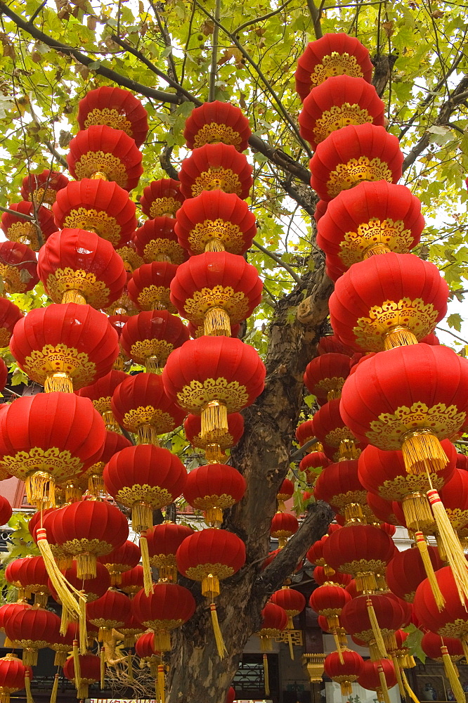 Lanterns, Shanghai City God Temple, Shanghai, China