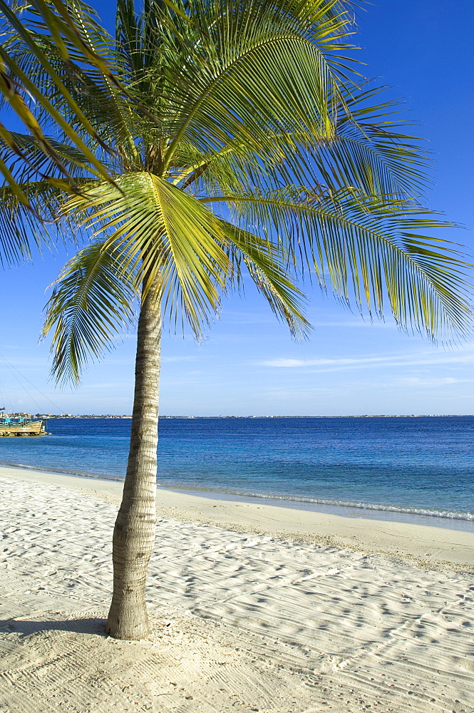 Beach at Harbour Village Resort, Bonaire, Netherlands Antilles, Caribbean, Central America