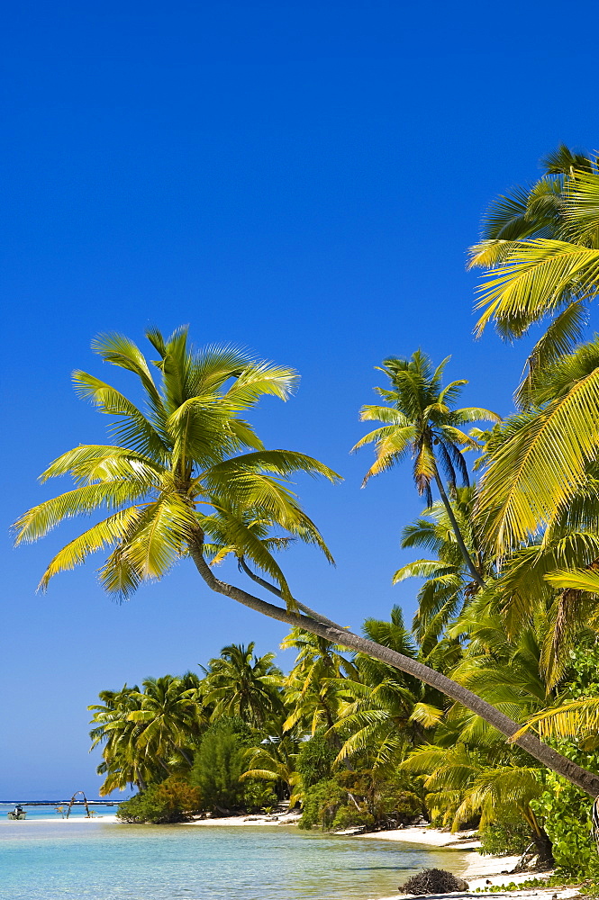 Aitutaki, Cook Islands, South Pacific, Pacific