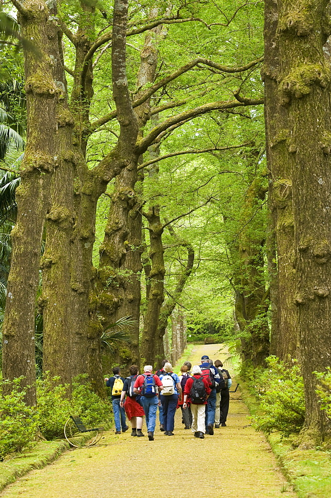 Parque Terra Nostra in Furnas, San Miguel, Azores, Portugal, Europe