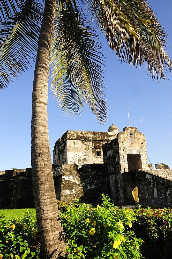 Mexico, Veracruz, Baluarte de Santiago historic fort now site of museum with palm tree and flowering shrubs in foreground.