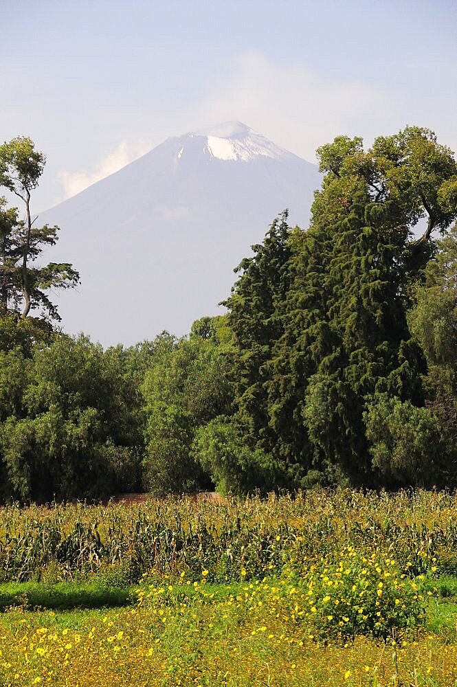 Mexico, Puebla, Popocatepetl, View of Popocatepetl volcanic cone with trees flowers and crops growing in foreground.