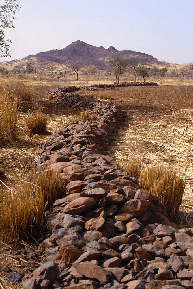 BURKINA FASO Environment Flooding Bund  low rock walls built to prevent soil erosion by flash floods. Stones are placed along the contours on gentle slopes. Sometimes the bunds are reinforced by planting tough grasses along the lines. The stones and grass encourage rain water to infiltrate the soil and reduce the amount of rain water that is lost by run-off. Any soil that has been eroded by run-off is trapped by the bund. Topsoil and organic matter  e.g. leaf litter  is deposited here.Bunds are placed 10 to 25 metres apart African Western Africa Ecology Entorno Environmental Environnement Green Issues