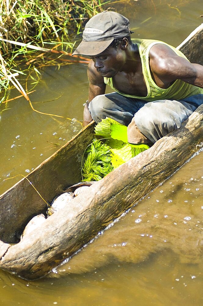 Burundi, Cibitoke Province, Cibitoke, Fisherman in dug out canoes on a small lake just north of Cibitoke town.