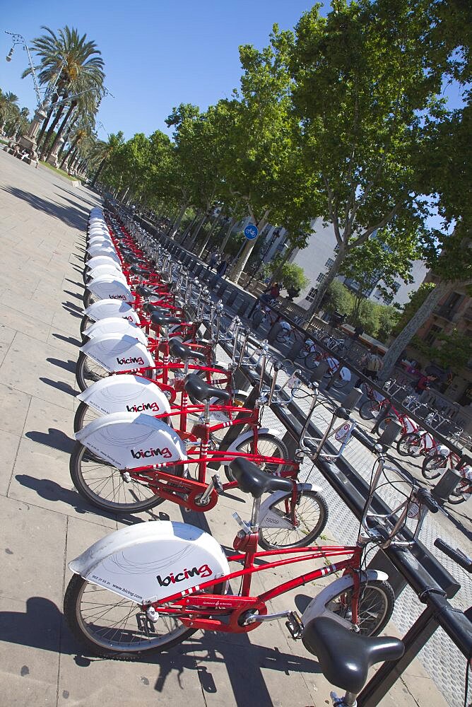 Spain, Catalonia, Barcelona, Parc de la Ciutadella, public hire bicycles next to Arc de Triomf.