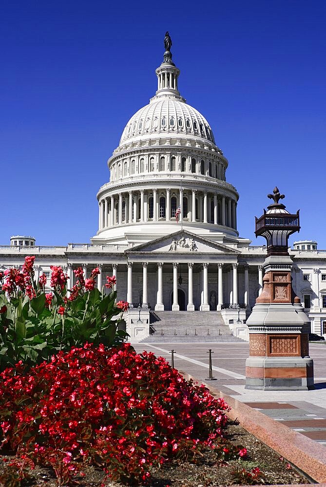 USA, Washington DC, Capitol Building, Head on view of the central section with its dome and flowerbed in the foreground.