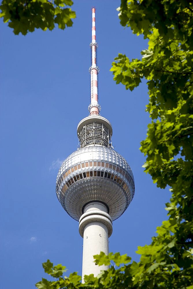 Germany, Berlin, Mitte, The Fernsehturm TV Tower near Alexanderplatz seen through trees against a blue sky.