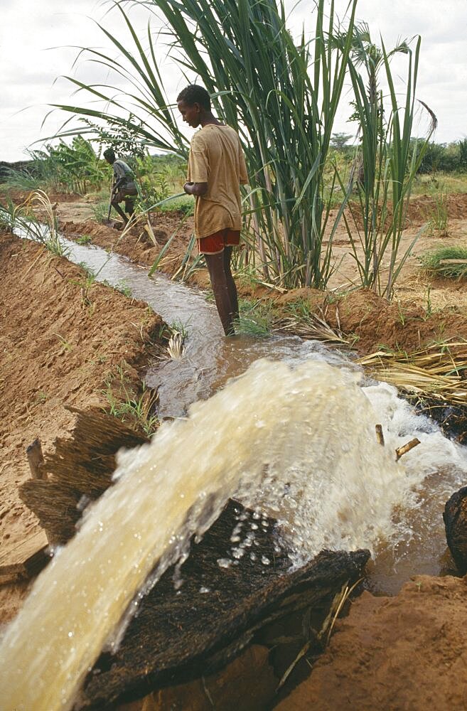 SOMALIA  Bula Hawa Local men and irrigation channel in project to restart agriculture in area devastated by war near Mandera funded by Trocaire.