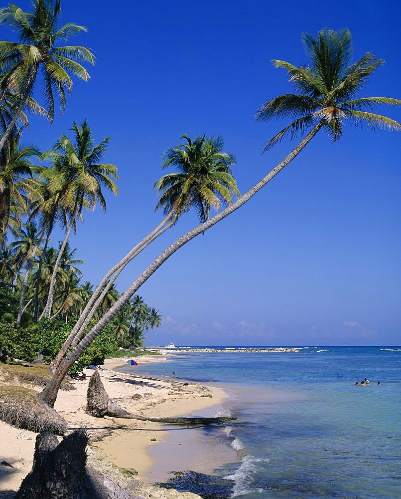 DOMINICAN REPUBLIC  Juan Dolio View of beach with leaning palm trees  swimmers  pleasure boat in distance with blue sky