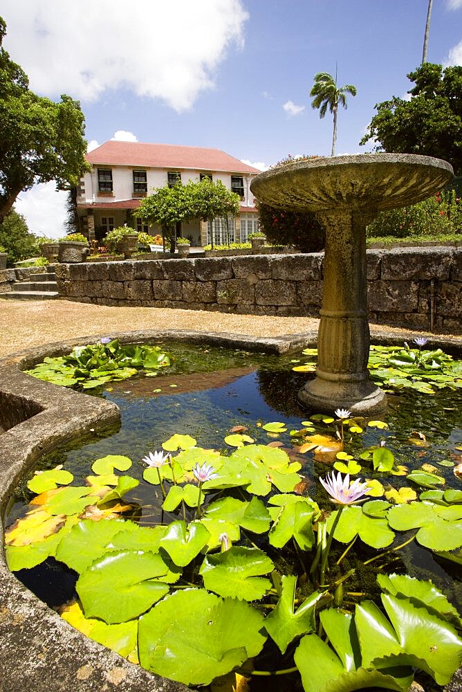 WEST INDIES Barbados St George Francia plantation house gardens and waterlilly pond with fountain