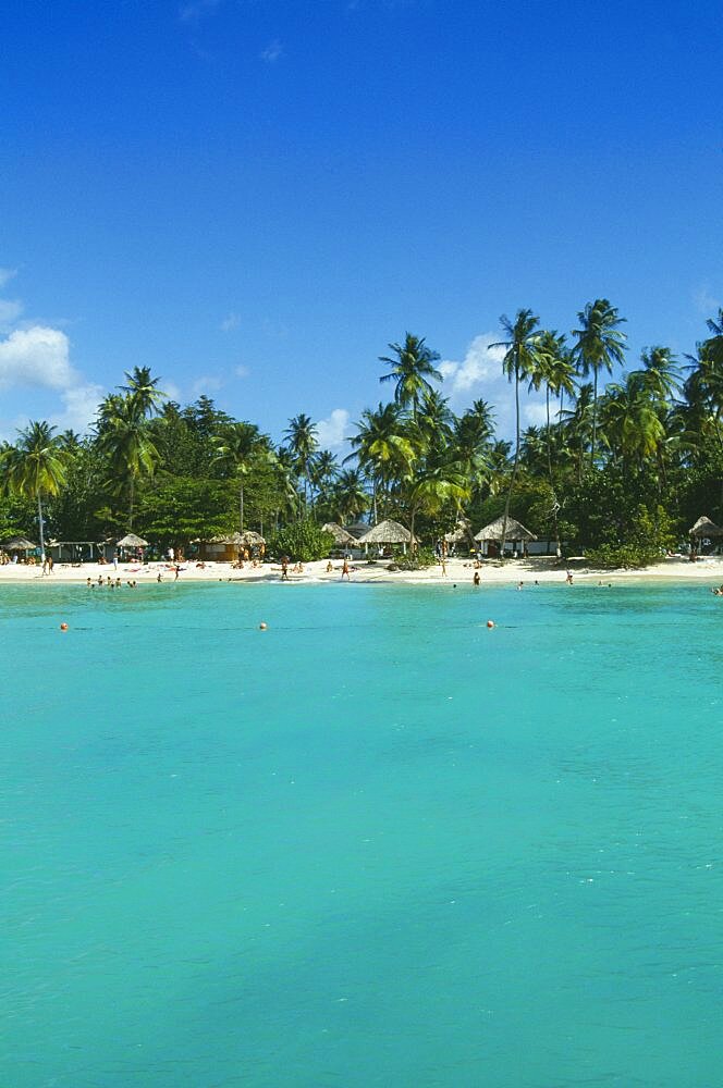 WEST INDIES Tobago Pigeon Point Coconut palm tree lined beach with thatched sun shades and tourists seen from the sea