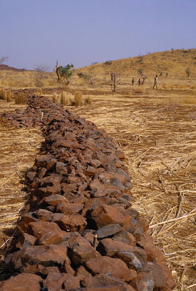 Burkina Faso Environment Flooding Bund  low rock walls built to prevent soil erosion by flash floods. Stones are placed along the contours on gentle slopes. Sometimes the bunds are reinforced by planting tough grasses along the lines. The stones and grass encourage rain water to infiltrate the soil and reduce the amount of rain water that is lost by run-off. Any soil that has been eroded by run-off is trapped by the bund. Topsoil and organic matter  e.g. leaf litter  is deposited here.Bunds are placed 10 to 25 metres apart African Western Africa Ecology Entorno Environmental Green Issues Environnement