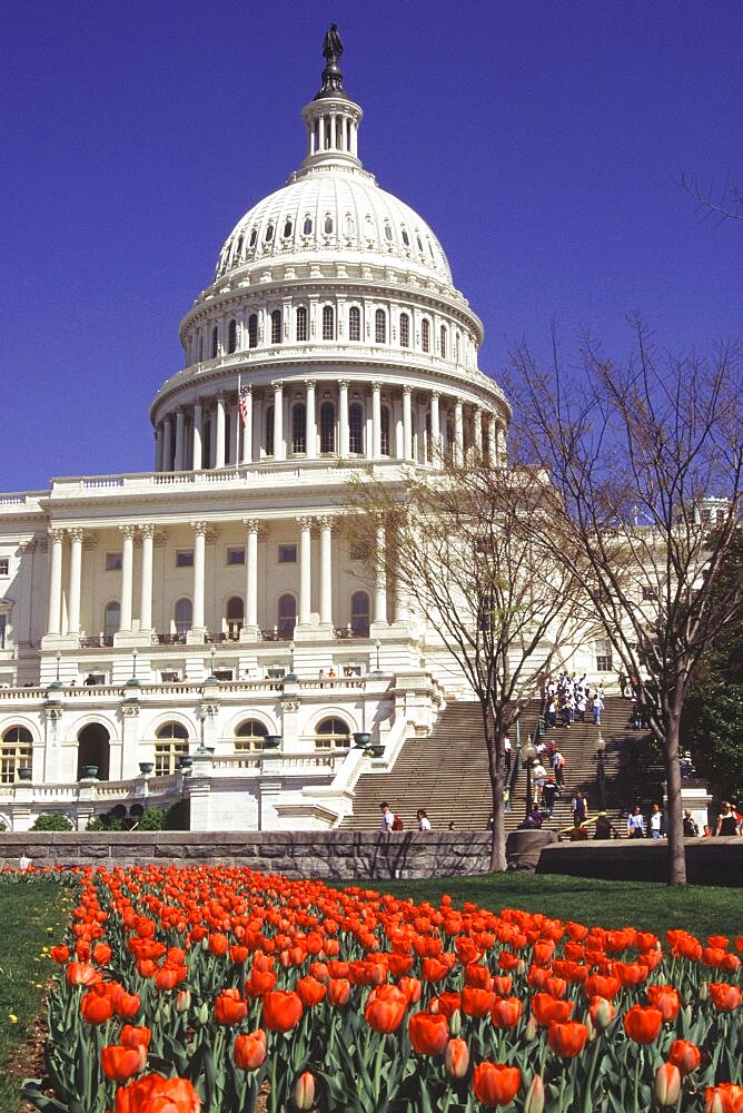 USA  Washington DC The Capitol Building  Capitol Hill