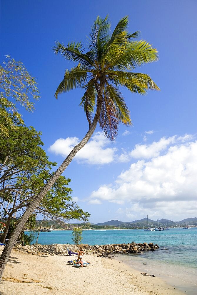 Pigeon Island National Historic Park Tourists on the beach lined with coconut palm trees and Rodney Bay beyond, Gros Islet, St Lucia