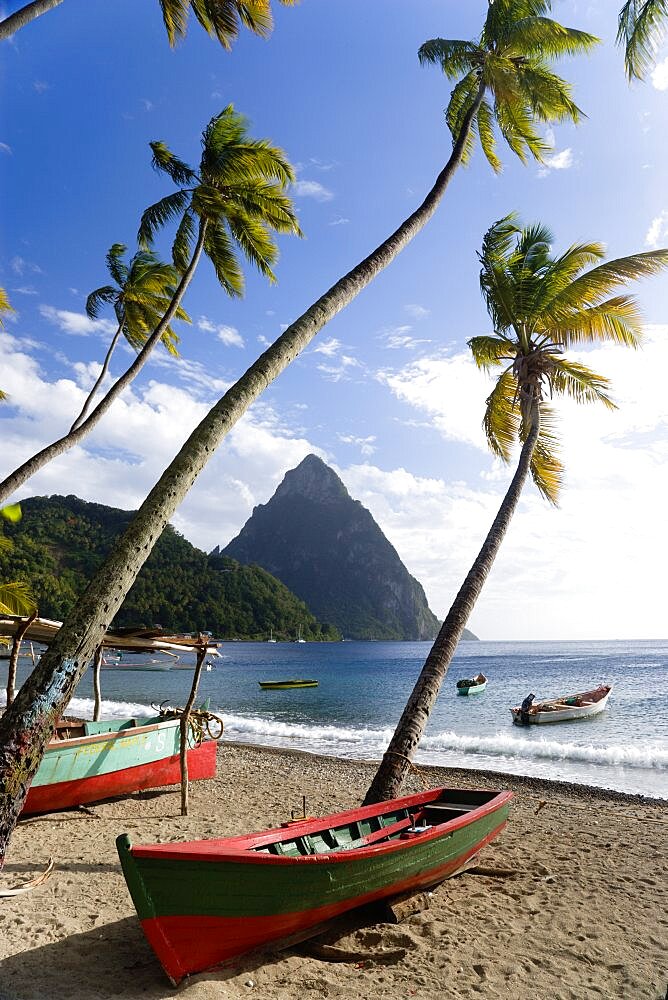 Fishing boats on the beach lined with coconut palm trees with the town and the volcanic plug mountain of Petit Piton beyond, Soufriere, St Lucia