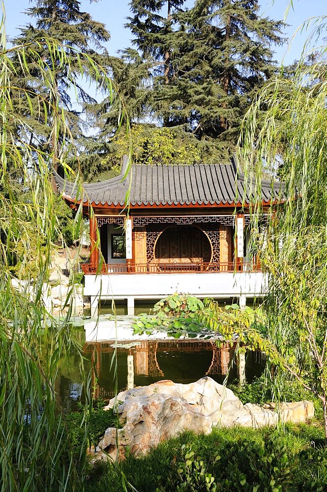 View across lake to the Lotus Pavilion Chinese Garden The Huntington Pasadena, Valley & Pasadena, United States of America