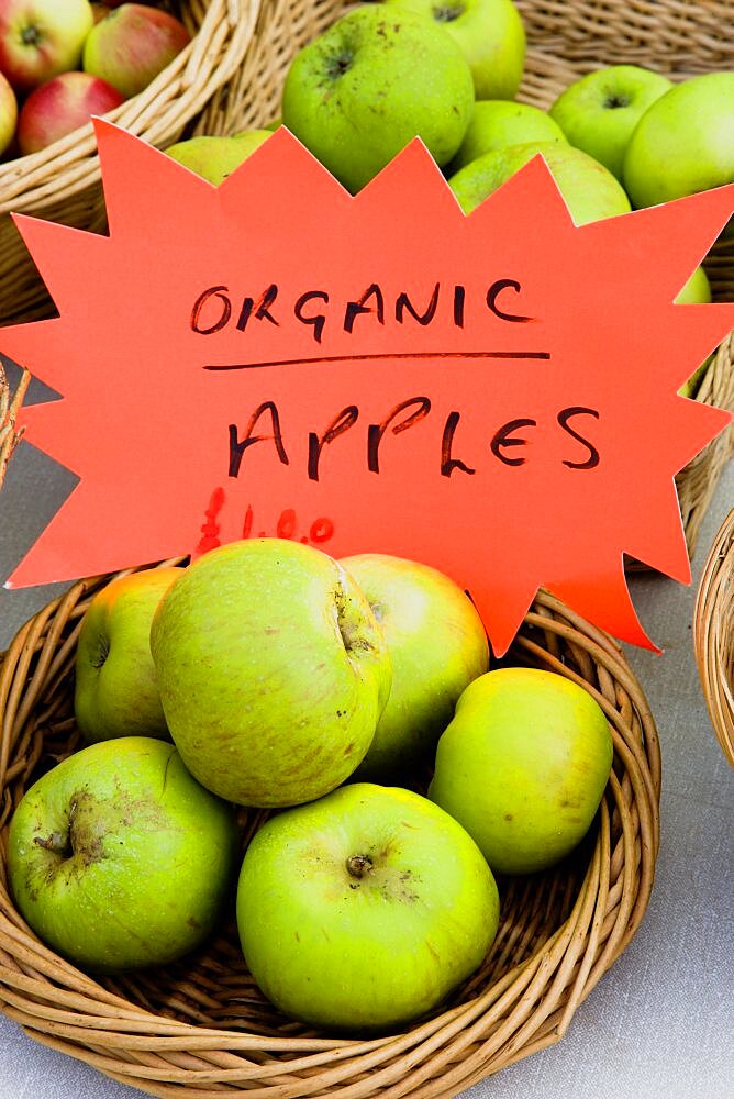 Findon village Sheep Fair Baskets of organic apples, United Kingdom