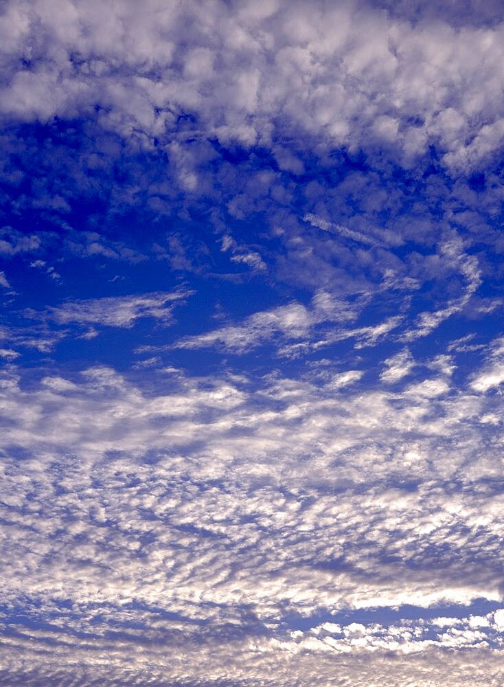 Climate, Weather, Cloud Formations, Alto Cumulus or Mackerel sky pattern