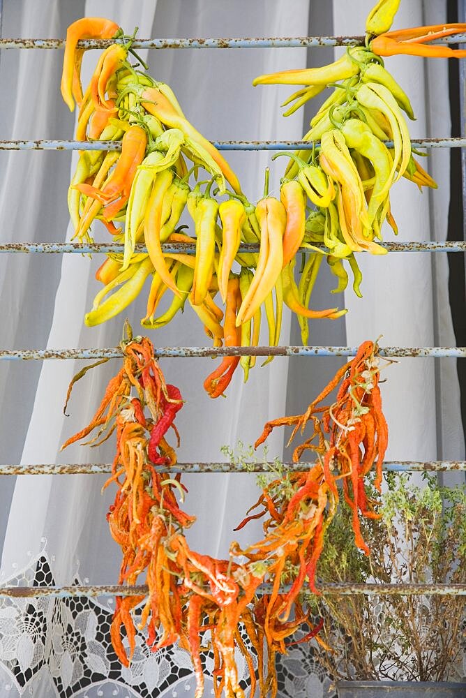 Turkey, Aydin Province, Kusadasi, Strings of brightly coloured chilies drying in late afternoon summer sunshine over window bars of house in the old town