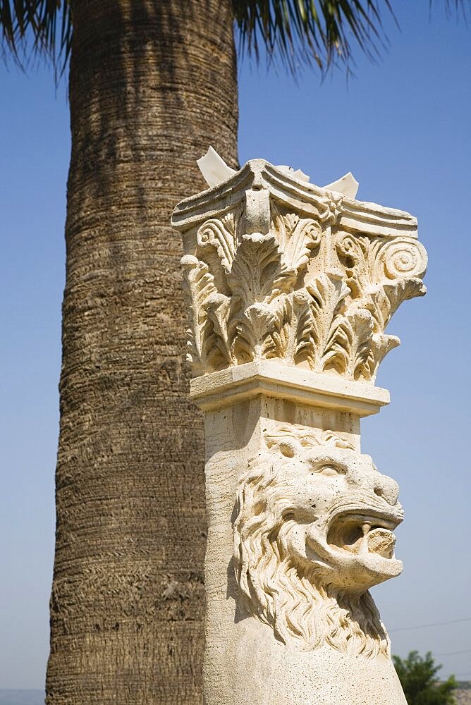 Turkey, Izmir Province, Selcuk, Corinthian column with protective lion mask beneath palm tree at ancient site of the Temple of Artemis