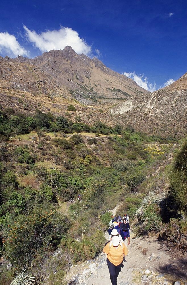 PERU Cusco Department The Inca Trail Treckers with back packs walking up a narrow pathway  mountains behind them.  Cuzco