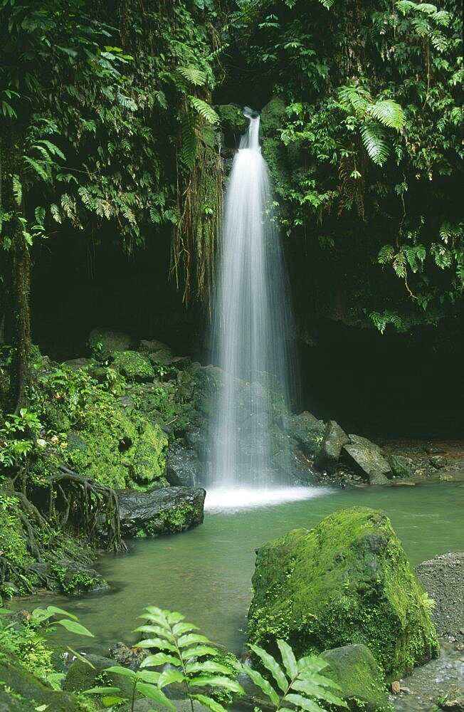 WEST INDIES St Lucia Trois Pitons National Park The Emerald Pool waterfall entering rainforest surrounded pool