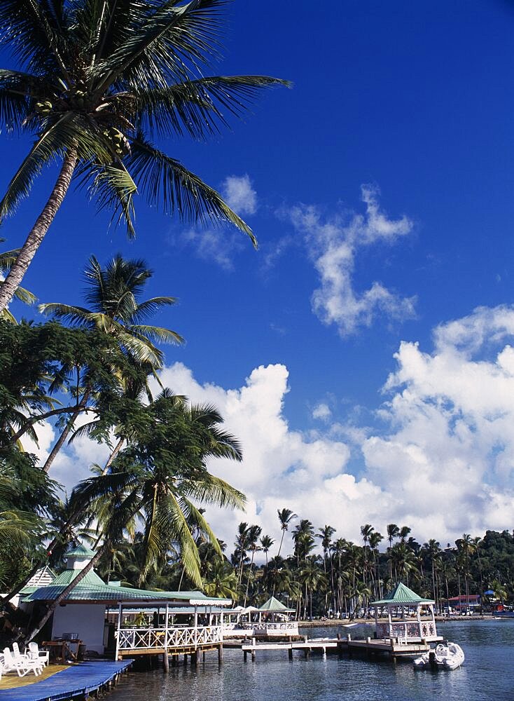 WEST INDIES St Lucia Marigot Bay View over water with overhanging palm trees beside Marigot Bay Beach Club.