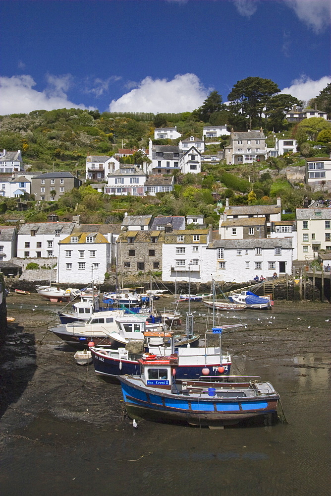 Boats in Polperro harbour at low tide, Cornwall, England, United Kingdom, Europe