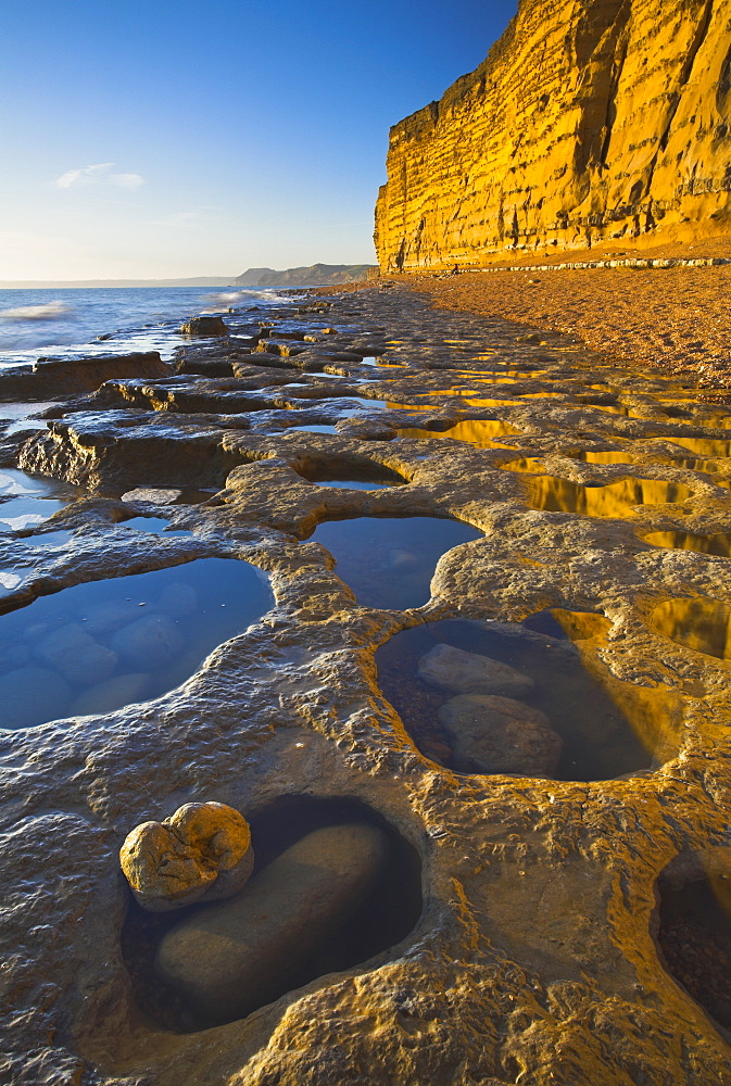 The golden coloured cliffs and ledges of Burton Bradstock, Jurassic Coast, UNESCO World Heritage Site, Dorset, England, United Kingdom, Europe