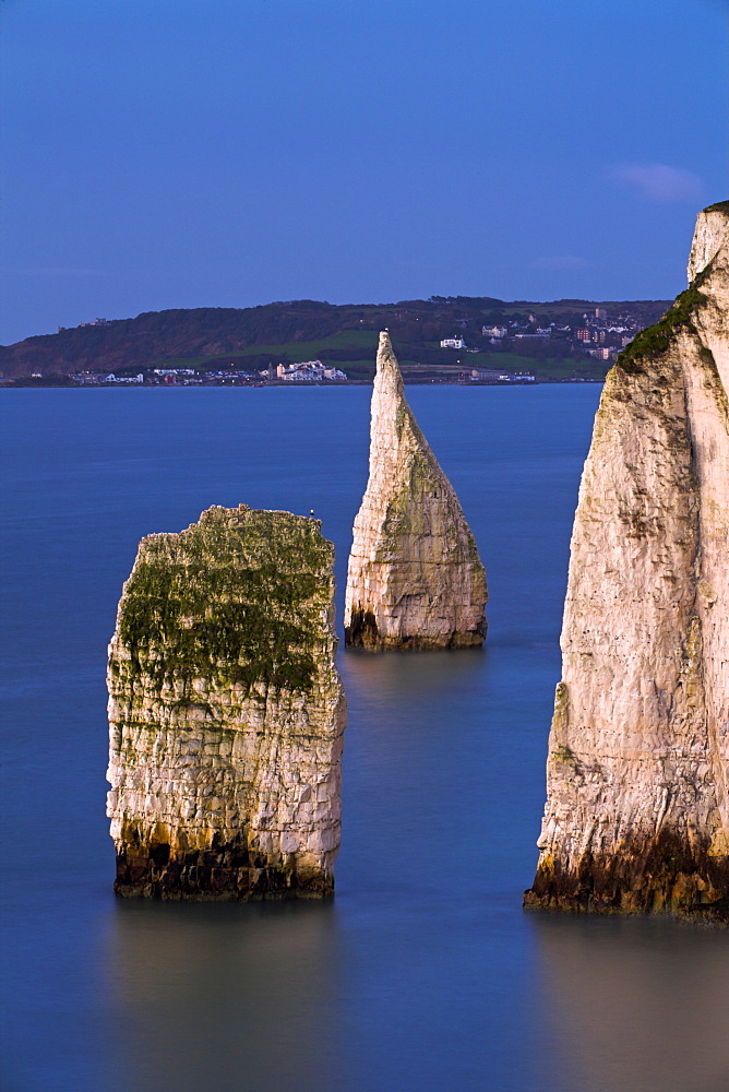 The famous chalk stacks The Pinnacles in the sea beside Ballard Down with views to Swanage in the background, Jurassic Coast, UNESCO World Heritage Site, Dorset, England, United Kingdom, Europe