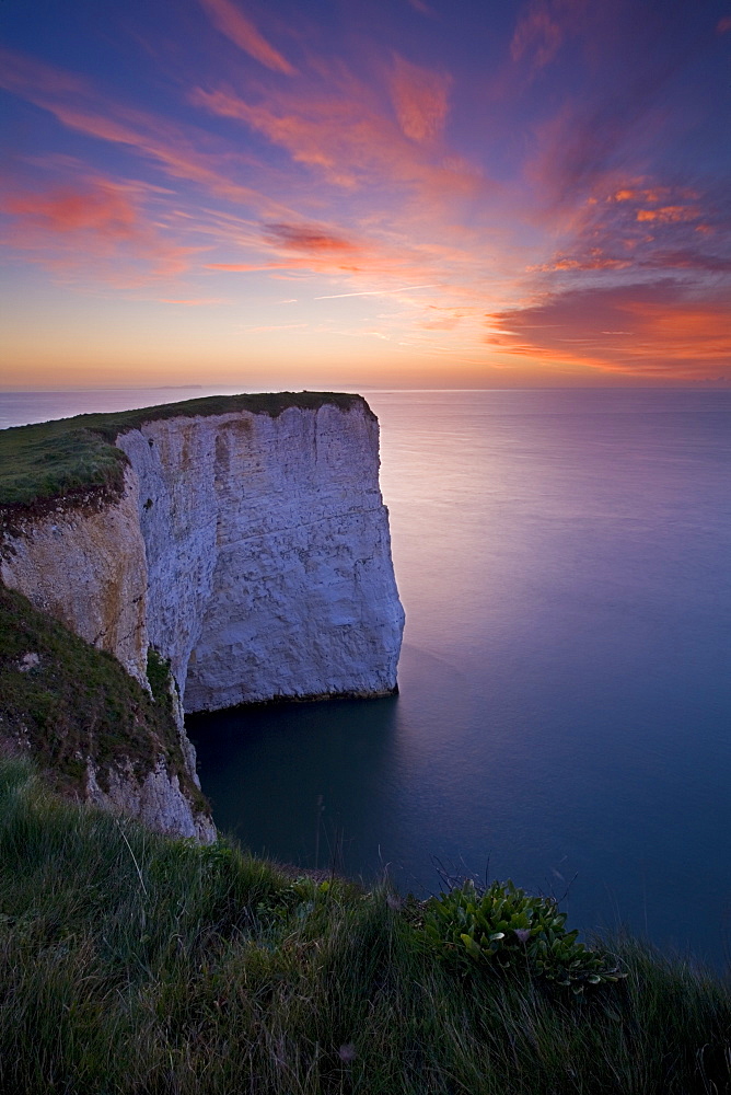 White chalk cliffs near Old Harry on Ballard Down, Jurassic Coast, UNESCO World Heritage Site, Dorset, England, United Kingdom, Europe