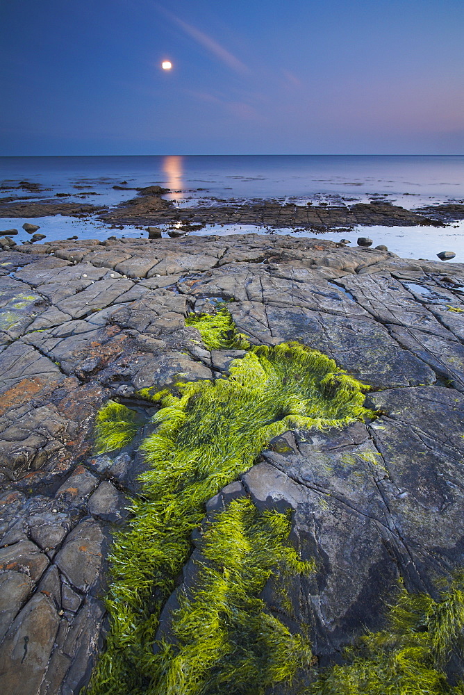 Moon glow over Kimmeridge Bay on the Jurassic Coast, UNESCO World Heritage Site, Dorset, England, United Kingdom, Europe