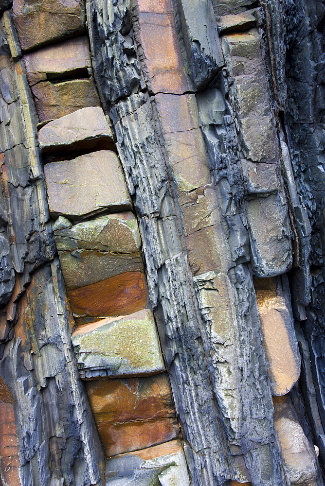 Rock strata in the cliffs at Bude, Cornwall, England, United Kingdom, Europe