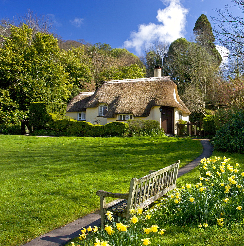 Spring in the picturesque village of Selworthy, Exmoor National Park, Somerset, England, United Kingdom, Europe