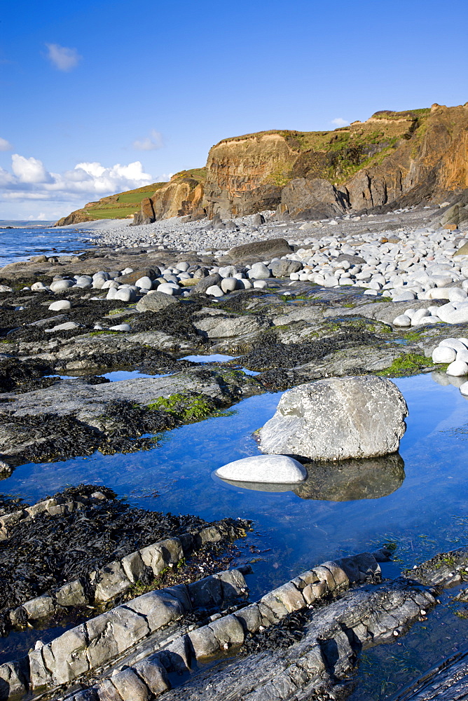 Rockpools beside the cliffs at Abbotsham, Devon, England, United Kingdom, Europe