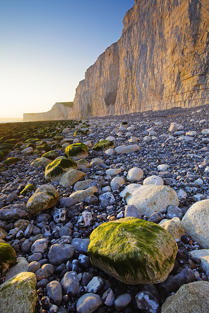 Golden late evening sunlight radiates off the white chalk cliffs at Birling Gap, East Sussex, England, United Kingdom, Europe