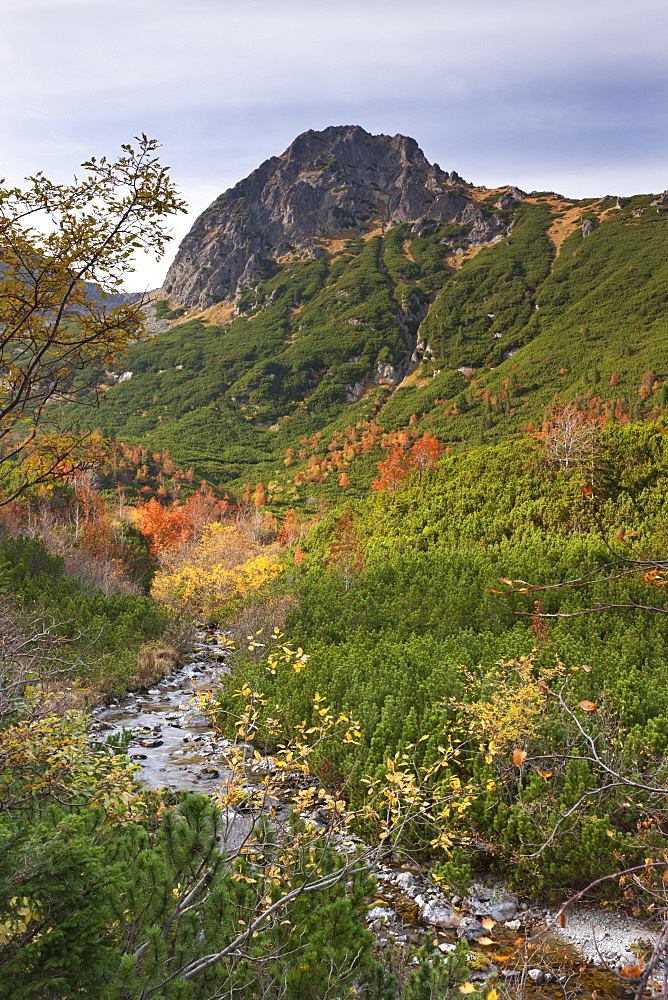 Autumn in the mountains of the High Tatras, Slovakia, Europe