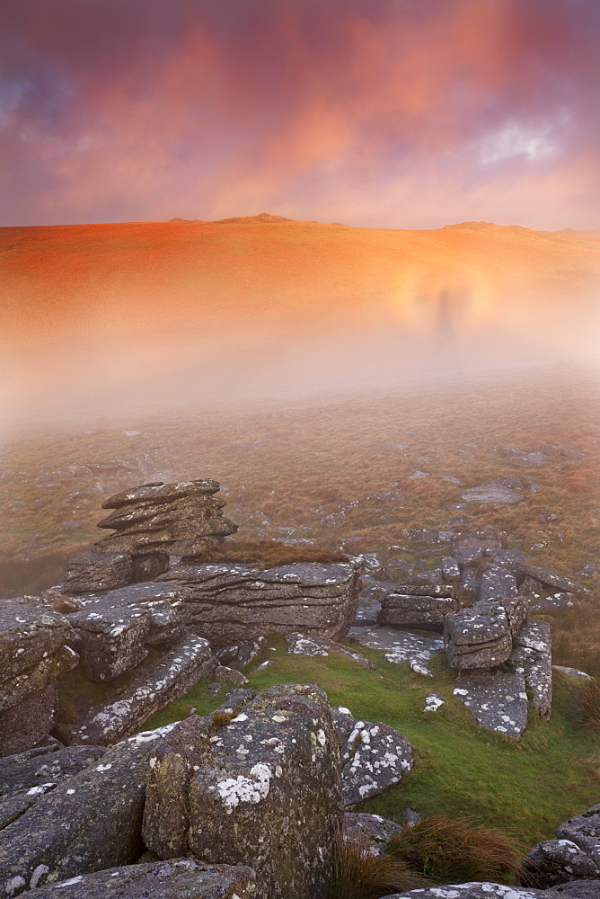 Brocken Spectre in mist at sunrise near Littaford Tor, Dartmoor, Devon, England, United Kingdom, Europe