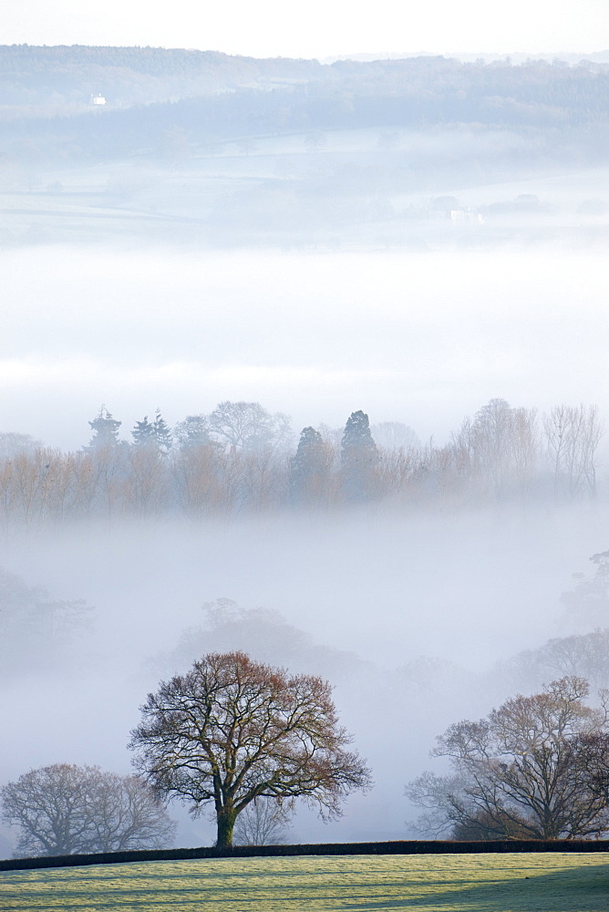 Mist covered countryside in the Exe Valley just north of Exeter, Devon, England, United Kingdom, Europe