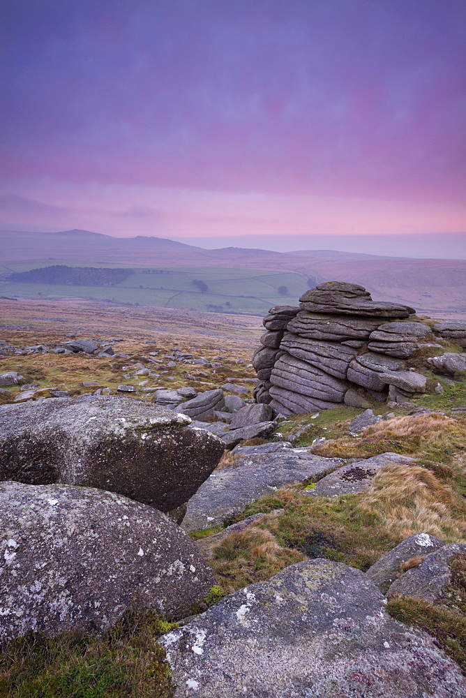 View towards High Willhays from Belstone Tor at sunrise, Dartmoor, Devon, England, United Kingdom, Europe