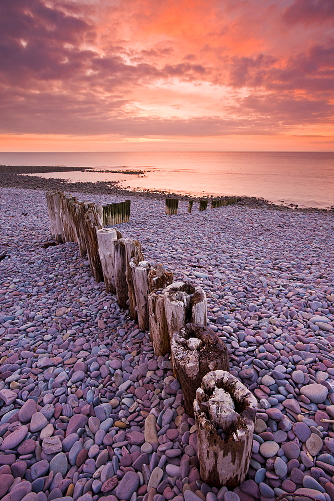 Weathered wooden coastal defences on Bossington Beach, Exmoor National Park, Somerset, England, United Kingdom, Europe