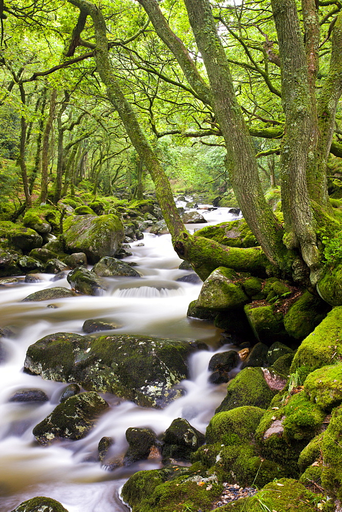 Rocky River Plym near Shaugh Prior in Dartmoor National Park, Devon, England, United Kingdom, Europe