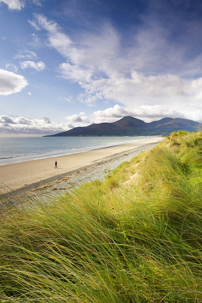 Person walking alone along Dundrum Bay, County Down, Northern Ireland, United Kingdom, Europe